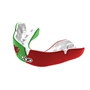 102527003-wales-mouthguard.jpg 