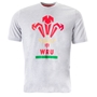 Macron Wales Mens Feathers Tee - Grey - Front 