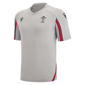 Wales Mens Training Gym Tee - Grey 2023 - Front