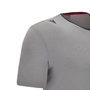 Wales Mens Leisure Cotton Tee - Grey 2023 - Sleeve 