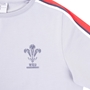 Wales Womens Leisure Cotton Tee - Grey 2023 - Wales Logo 