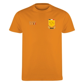 Australia Mens World Cup Classic T-Shirt - Gold - Front