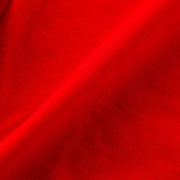 Lions 1888 Printed Tee Red - Detail 2
