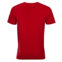 Wales Mens Summer Tour Printed Tee - Red 2022 - Back 