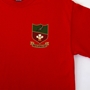 Wales Mens Summer Tour Printed Tee - Red 2022 - Badge 