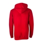 Wales Classic Polycotton Hoodie Fire Red Kids - Back 