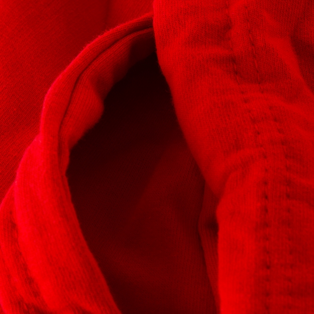 Lions 1888 Womens College Hoodie Fire Red - Detail 3