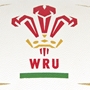 Gilbert Official Wales Midi Ball - Detail 