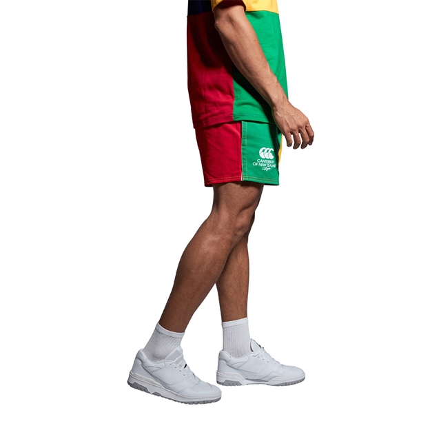 ccc-harlequin-shorts-multi-model2.jpg
