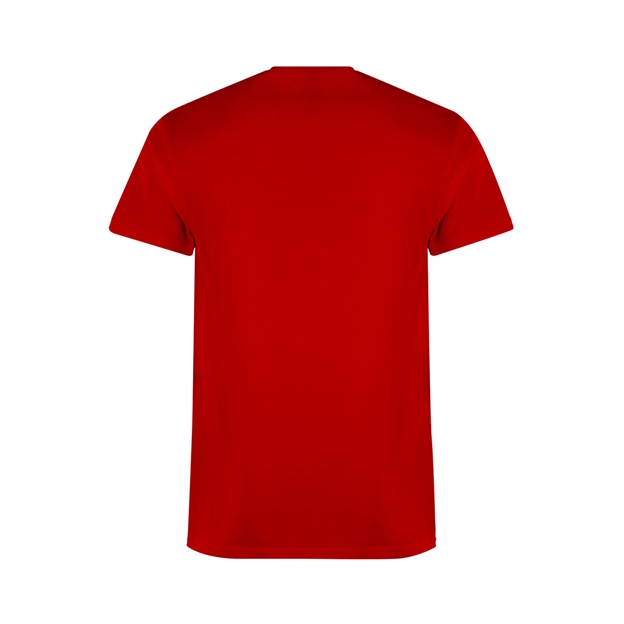 wales-kids-classic-t-shirt-red-back.jpg