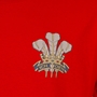 wales-classic-t-shirt-red-feathers.jpg 