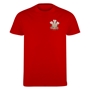 wales-classic-t-shirt-red-front.jpg 