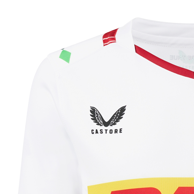 Harlequins Alternate 2024 castore.png
