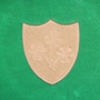 ireland-champions-2024-crest-rsshirt.jpg 