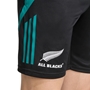 All Blacks Mens Gym Shorts 25/26 Black - Fern 