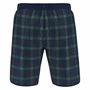 Scotland Mens Swim Shorts - 2025 - Back 