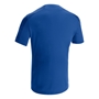 Gede Teamwear T-shirt Blue - Back 