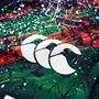 British and Irish Lions Mens Warm Up Rugby Shirt Multi - Canterbury 