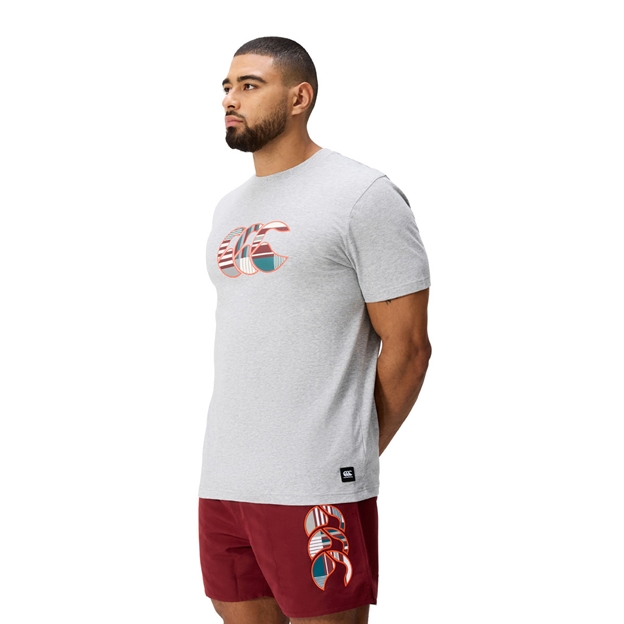 Canterbury Mens Uglies Logo T-Shirt Classic Marl/Multi - Model Side View