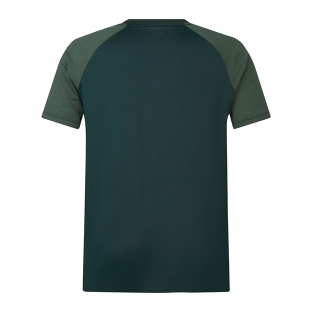 British and Irish Lions Mens Polo - Green - Back