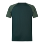 British and Irish Lions Mens Polo - Green - Back 