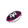 Ospreys Supporters Mini Rugby Ball - Front 