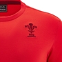 Wales Junior Travel Cotton T-Shirt 25/26 Red - WRU Embroidery 