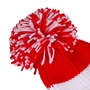 Big Bobble 'What the Puck' Beanie Hat - Pom Pom 