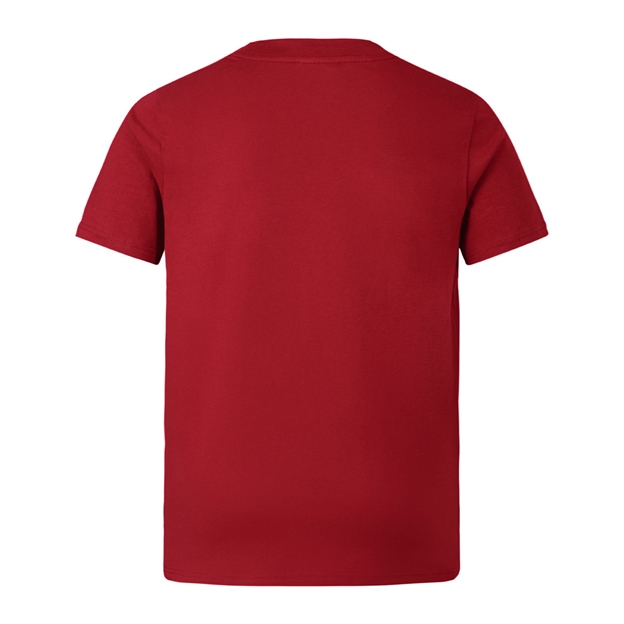 British and Irish Lions Junior Cotton T-Shirt Red - Back