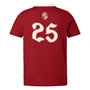 British and Irish Lions Adults Winners Short Sleeve Classic Rugby Shirt Red - Back 