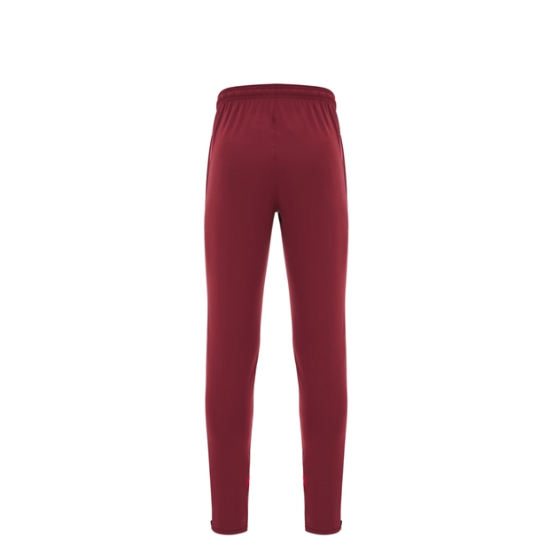 Wales Junior Training Fitted Track Pants 25/26 Dark Red - Back