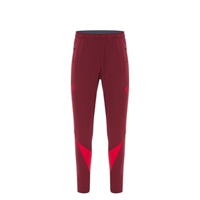 Wales Junior Training Fitted Track Pants 25/26 Dark Red - Front