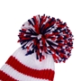 Official Champions 2003 Big Bobble Hat - Bobble 