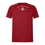 Limited Edition British and Irish Lions Mens Everest T-Shirt - Red 