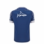 Sale Shark Kids Training Jersey - 2025 - Back 