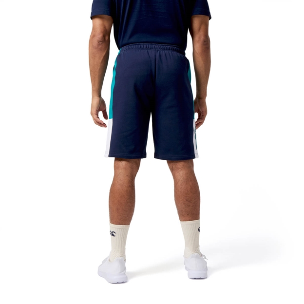Canterbury Mens Legends Panel Shorts Multi - Model Back