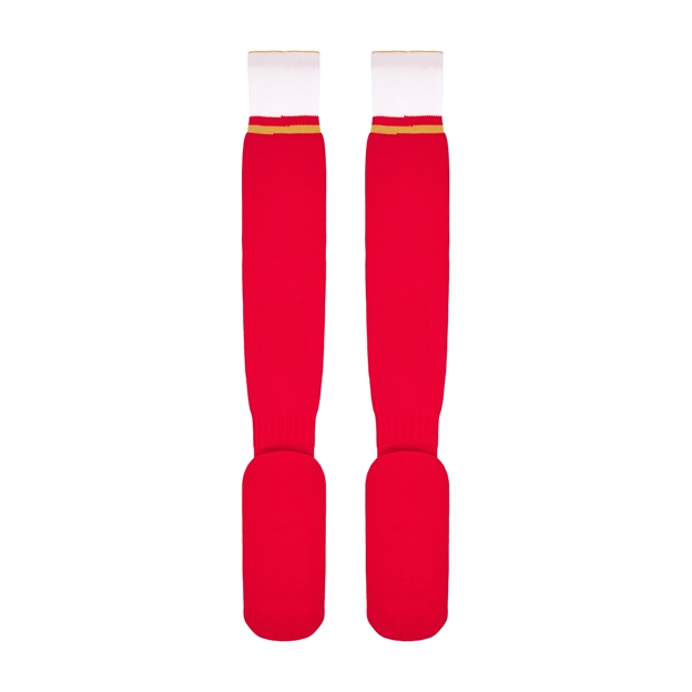 Wales Kids Home Socks - 2025 - Flat Back