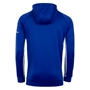 Leinster Mens Rise Pro Players Hoody 24/25 - Back 