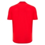 Wales Mens Travel Cotton T-Shirt 25/26 Red - Back 
