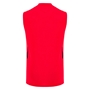 Wales Mens Training Vest 25/26 Red - Back 