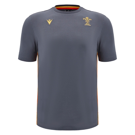 Wales Mens Travel Cotton T-Shirt - Grey 2025 - Front