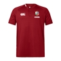 British and Irish Lions Mens Polo Shirt Red - Front 