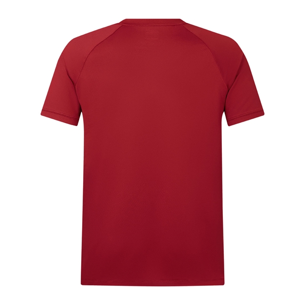 British and Irish Lions Mens Polo Shirt Red - Back