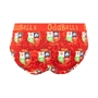 Oddballs British & Irish Lions Womens briefs - Back 