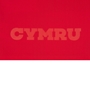 Wales Babies Home Rugby Kit 25/26 Red - Back Detail 