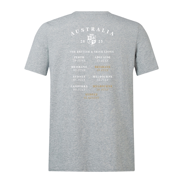 Limited Edition British and Irish Lions Mens Monument T-Shirt Grey - Back