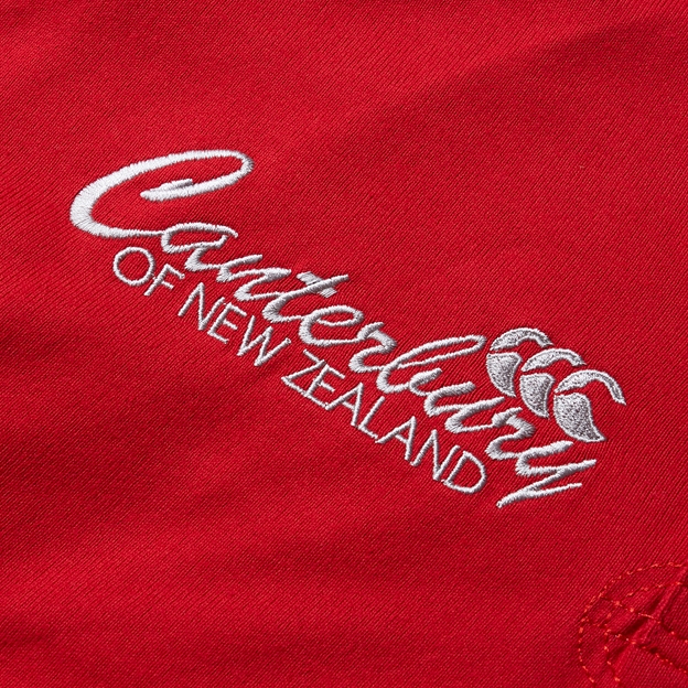 lions mens heritage rugby shirt - detail