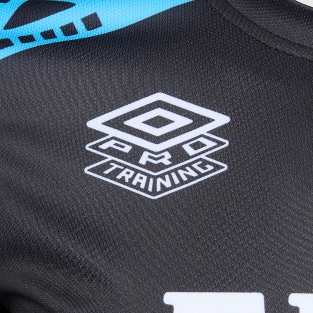 Fiji Mens Pre Match Tee 25/26 - Umbro