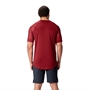 British and Irish Lions Mens Superlight T-Shirt Red - Model Back 