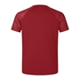 British and Irish Lions Mens Superlight T-Shirt Red - Back 